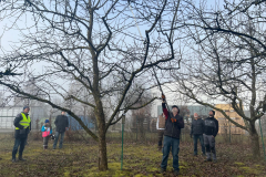 03 Der Baumwart Günter Edelmüller zeigt wie es geht
