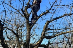 12 Voller Einsatz