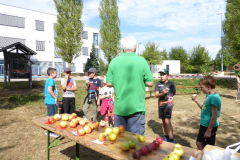 P1030608