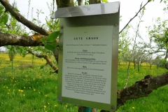 Obstlehrgarten2013-Gute-Graue