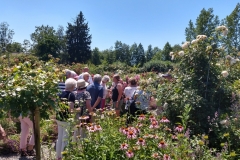Rosarium-3